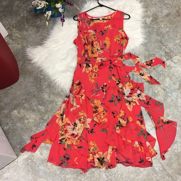 estabiished 1962 Dresses & Skirts - 4for $15 gorgeous floral & ruffle dress with belt